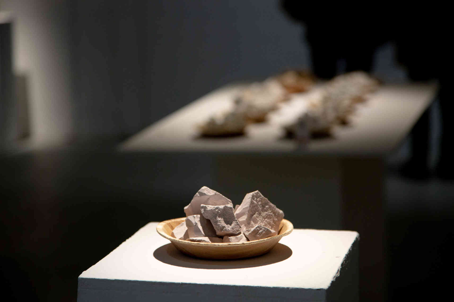 Papitas - MUSEUM OF EDIBLE EARTH